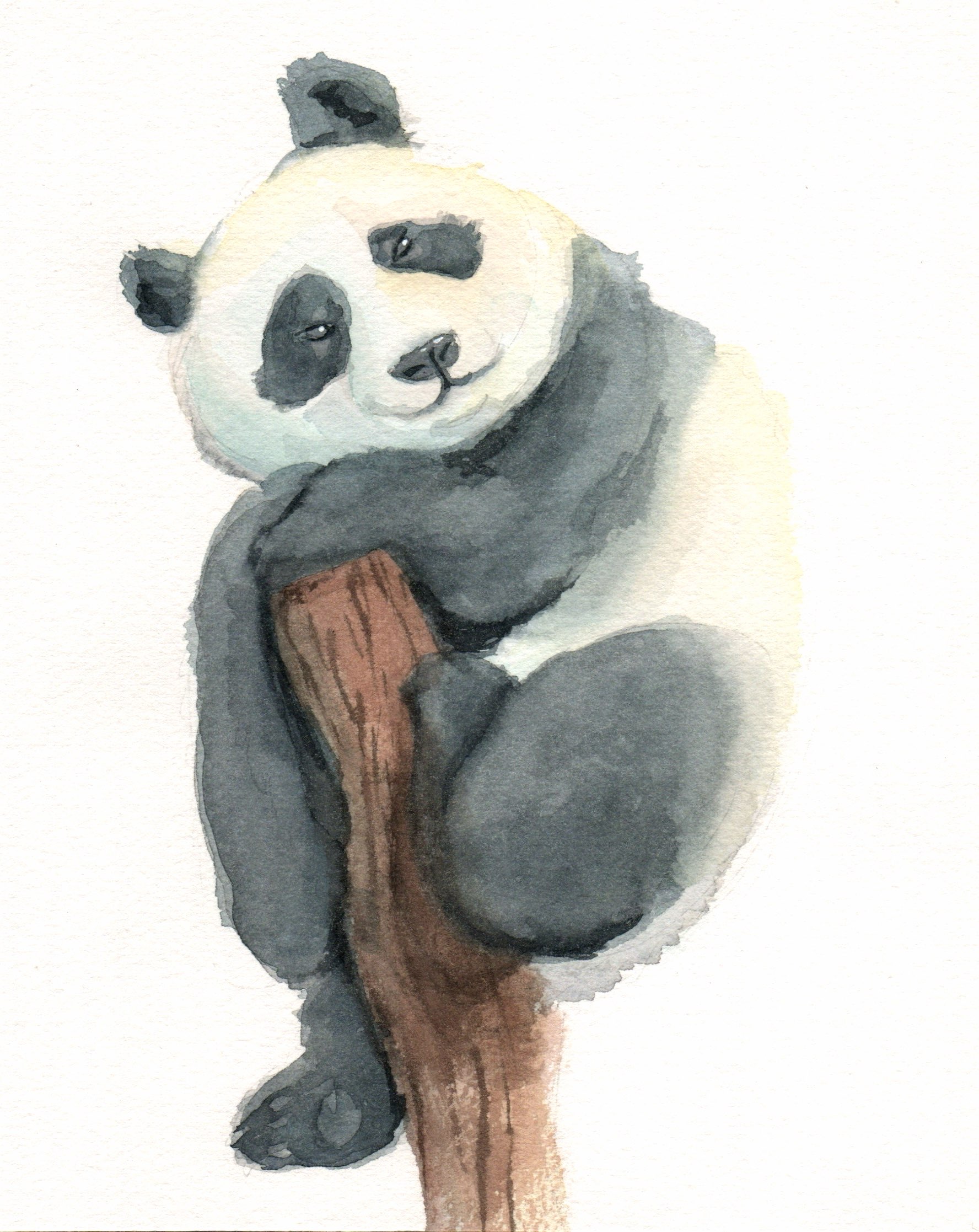 Watercolor painting of a black and white panda climbed atop a tree, resting its face and paw on the top of the tree